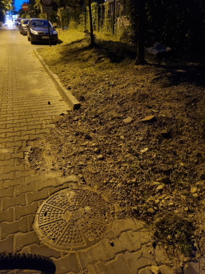 Zdjęcie 1 przedstawia problem zgłoszony w tym alercie
