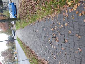 Zdjęcie 4 przedstawia problem zgłoszony w tym alercie