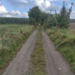 Zdjęcie 1 przedstawia problem zgłoszony w tym alercie