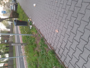 Zdjęcie 2 przedstawia problem zgłoszony w tym alercie