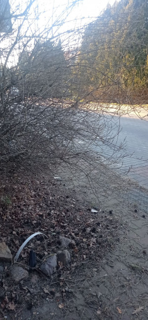 Zdjęcie 2 przedstawia problem zgłoszony w tym alercie