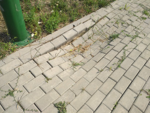Zdjęcie 1 przedstawia problem zgłoszony w tym alercie