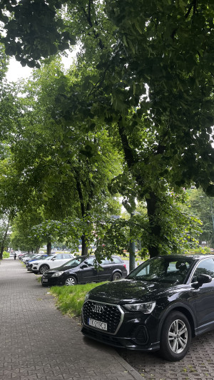 Zdjęcie 3 przedstawia problem zgłoszony w tym alercie