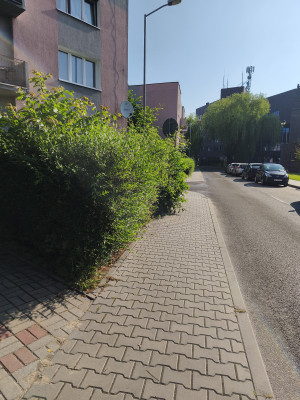 Zdjęcie 1 przedstawia problem zgłoszony w tym alercie