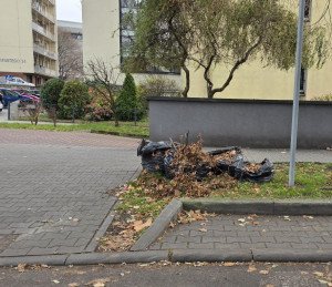 Zdjęcie 1 przedstawia problem zgłoszony w tym alercie