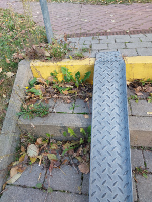 Zdjęcie 2 przedstawia problem zgłoszony w tym alercie