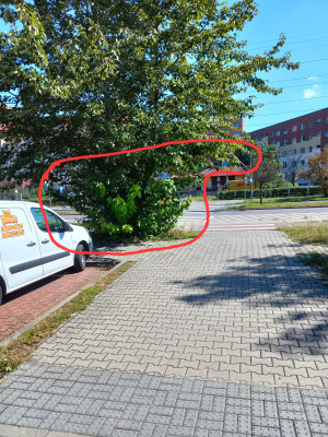 Zdjęcie 2 przedstawia problem zgłoszony w tym alercie