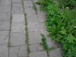 Zdjęcie 5 przedstawia problem zgłoszony w tym alercie