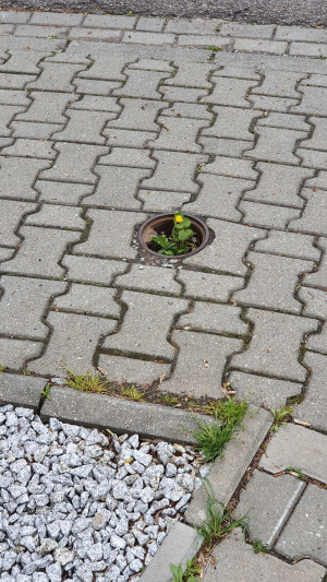 Zdjęcie 3 przedstawia problem zgłoszony w tym alercie