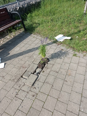 Zdjęcie 2 przedstawia problem zgłoszony w tym alercie