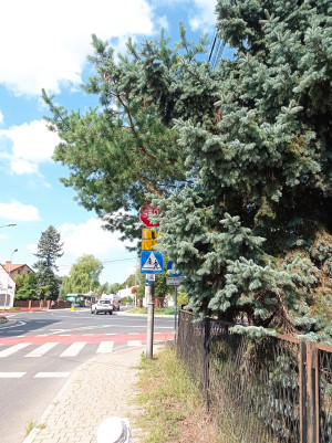 Zdjęcie 2 przedstawia problem zgłoszony w tym alercie