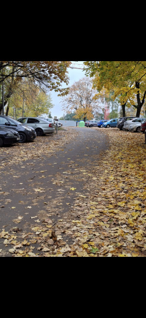 Zdjęcie 1 przedstawia problem zgłoszony w tym alercie