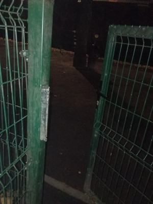 Zdjęcie 1 przedstawia problem zgłoszony w tym alercie