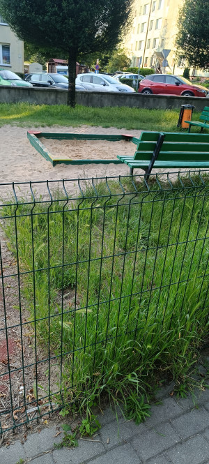 Zdjęcie 2 przedstawia problem zgłoszony w tym alercie