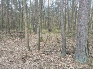 Zdjęcie 6 przedstawia problem zgłoszony w tym alercie