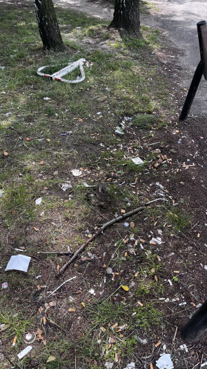 Zdjęcie 2 przedstawia problem zgłoszony w tym alercie