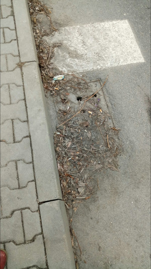 Zdjęcie 1 przedstawia problem zgłoszony w tym alercie