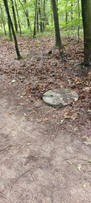 Zdjęcie 6 przedstawia problem zgłoszony w tym alercie