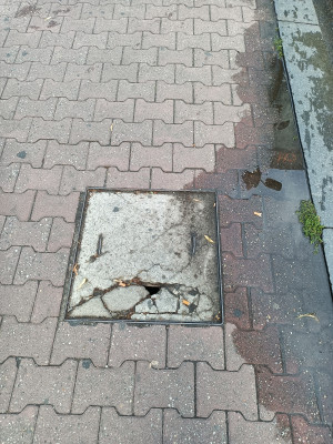 Zdjęcie 1 przedstawia problem zgłoszony w tym alercie