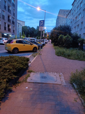 Zdjęcie 4 przedstawia problem zgłoszony w tym alercie