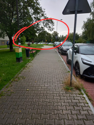 Zdjęcie 2 przedstawia problem zgłoszony w tym alercie