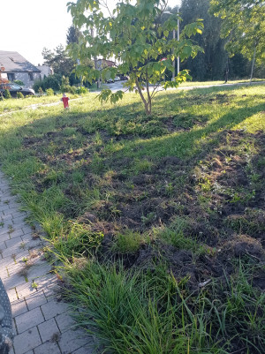 Zdjęcie 5 przedstawia problem zgłoszony w tym alercie