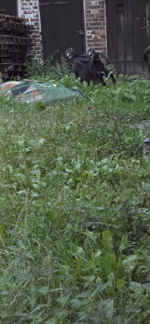 Zdjęcie 2 przedstawia problem zgłoszony w tym alercie
