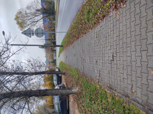 Zdjęcie 1 przedstawia problem zgłoszony w tym alercie