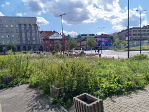 Zdjęcie 2 przedstawia problem zgłoszony w tym alercie