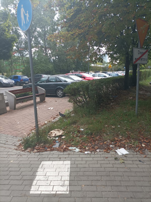 Zdjęcie 2 przedstawia problem zgłoszony w tym alercie