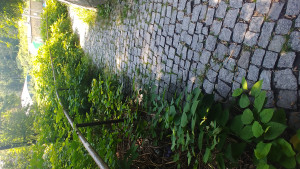 Zdjęcie 2 przedstawia problem zgłoszony w tym alercie