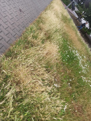 Zdjęcie 3 przedstawia problem zgłoszony w tym alercie