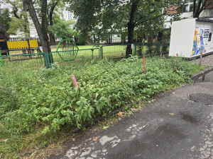 Zdjęcie 3 przedstawia problem zgłoszony w tym alercie