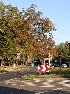 Zdjęcie 3 przedstawia problem zgłoszony w tym alercie