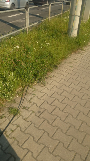 Zdjęcie 1 przedstawia problem zgłoszony w tym alercie