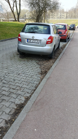 Zdjęcie 1 przedstawia problem zgłoszony w tym alercie