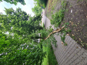 Zdjęcie 1 przedstawia problem zgłoszony w tym alercie