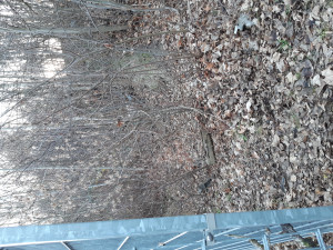 Zdjęcie 4 przedstawia problem zgłoszony w tym alercie