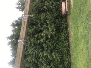 Zdjęcie 2 przedstawia problem zgłoszony w tym alercie
