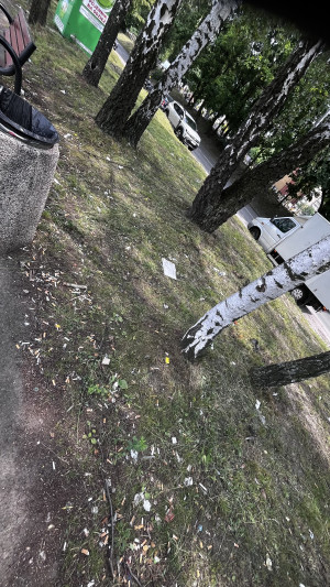Zdjęcie 3 przedstawia problem zgłoszony w tym alercie
