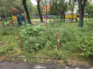 Zdjęcie 1 przedstawia problem zgłoszony w tym alercie