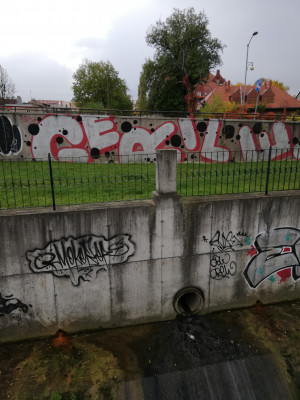 Zdjęcie 2 przedstawia problem zgłoszony w tym alercie