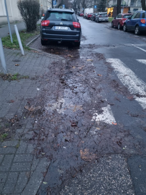 Zdjęcie 1 przedstawia problem zgłoszony w tym alercie