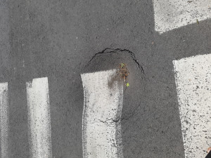 Zdjęcie 2 przedstawia problem zgłoszony w tym alercie