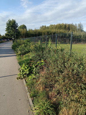 Zdjęcie 6 przedstawia problem zgłoszony w tym alercie