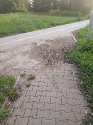 Zdjęcie 2 przedstawia problem zgłoszony w tym alercie
