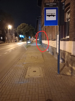 Zdjęcie 2 przedstawia problem zgłoszony w tym alercie