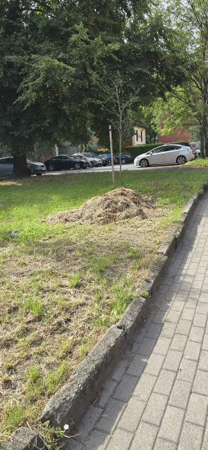 Zdjęcie 1 przedstawia problem zgłoszony w tym alercie