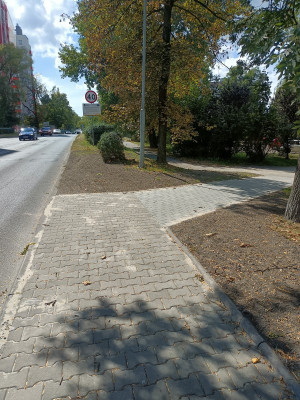 Zdjęcie 2 przedstawia problem zgłoszony w tym alercie