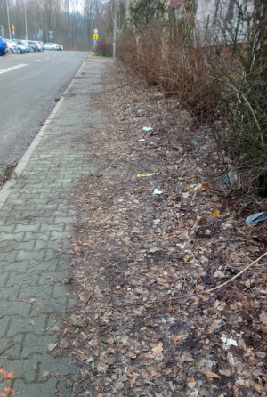 Zdjęcie 1 przedstawia problem zgłoszony w tym alercie